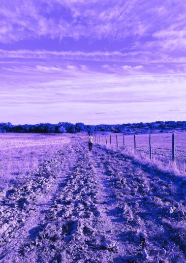 Fotografia com uma pessoa, de costas, a caminhar. Direitos reservados.