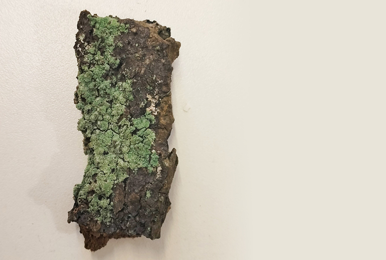 Imagem de uma das obras da exposição.