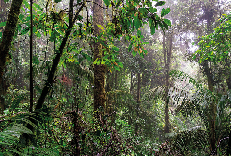 Imagem com um pormenor de uma das obras da exposição.